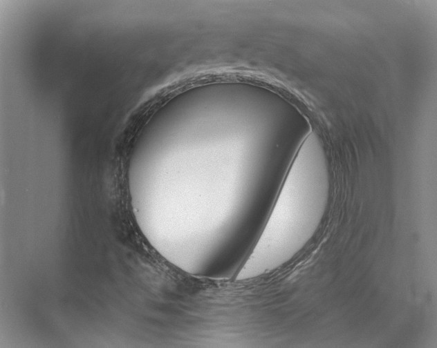 X0000073841494200608101013