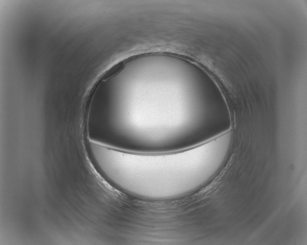 X0000073841500200608101014