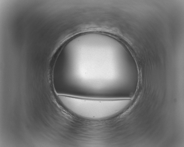 X0000073841501200608101014