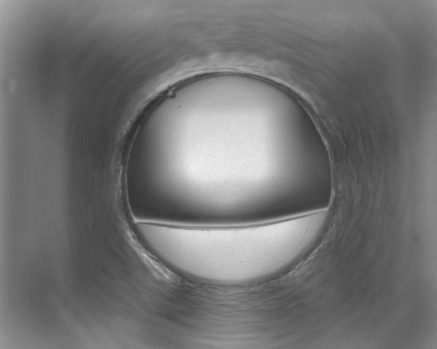 X0000073841507200608101014