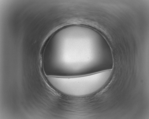 X0000073841509200608101014