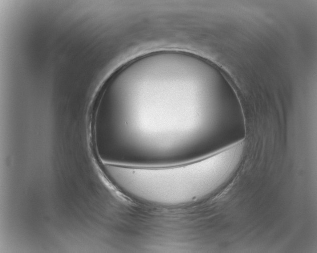 X0000073841511200608101014