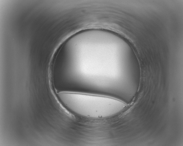X0000073841517200608101014