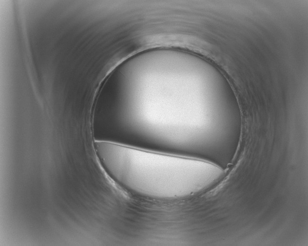 X0000073841521200608101014