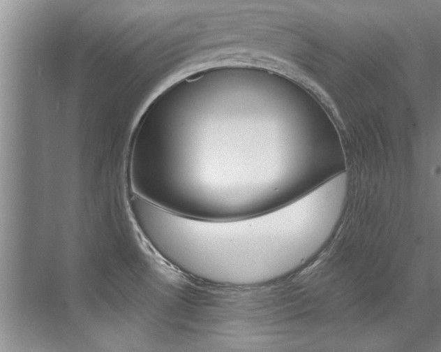 X0000073841530200608101014