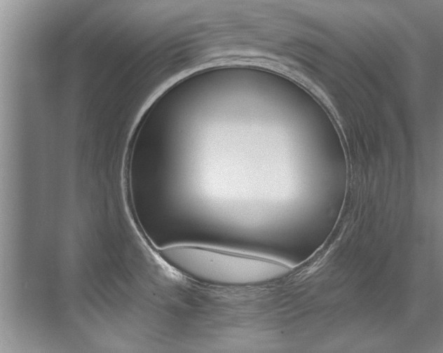 X0000073841533200608101014