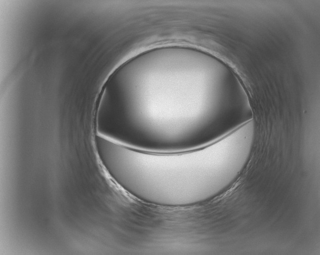 X0000073841534200608101014