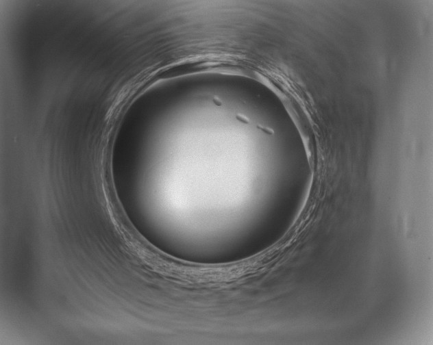 X0000073840001200608101242