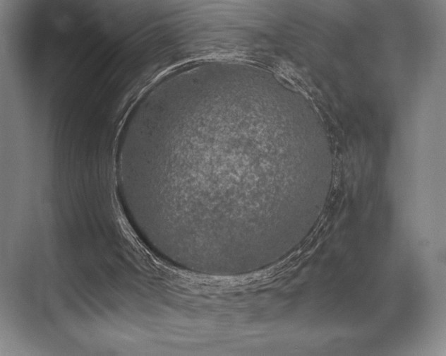 X0000073840002200608101241