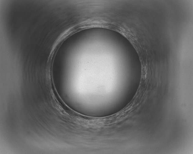 X0000073840004200608101241