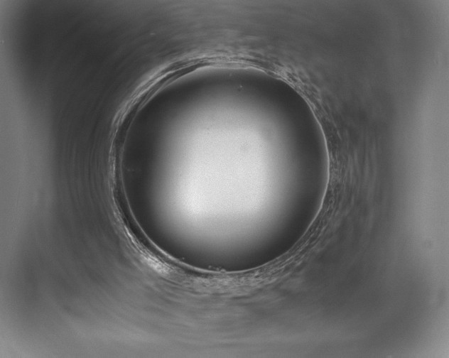 X0000073840005200608101241