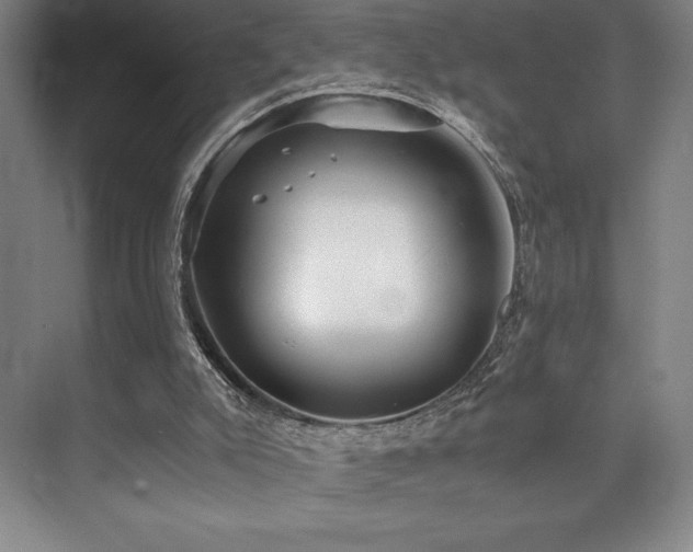 X0000073840007200608101241