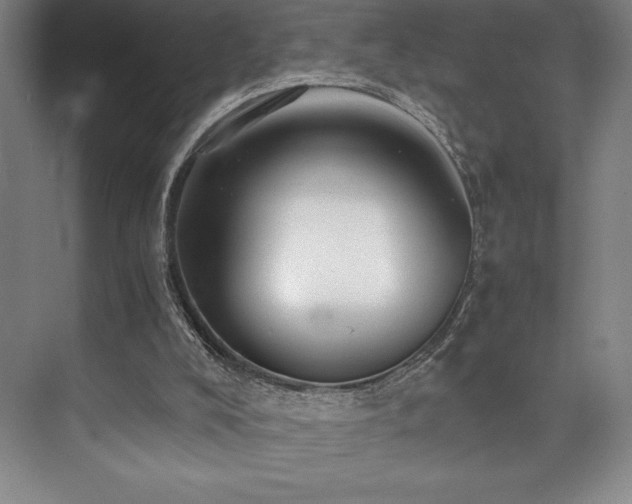 X0000073840008200608101241