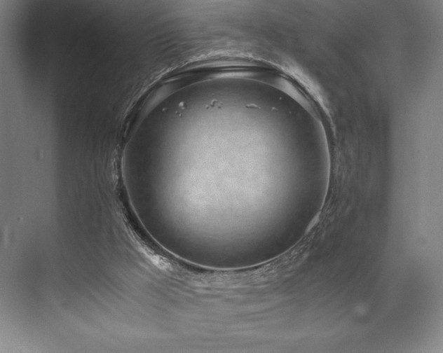 X0000073840009200608101241