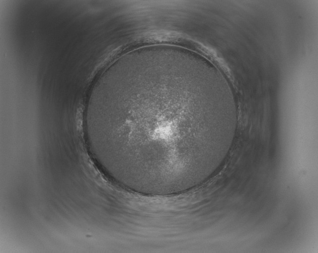 X0000073840010200608101241