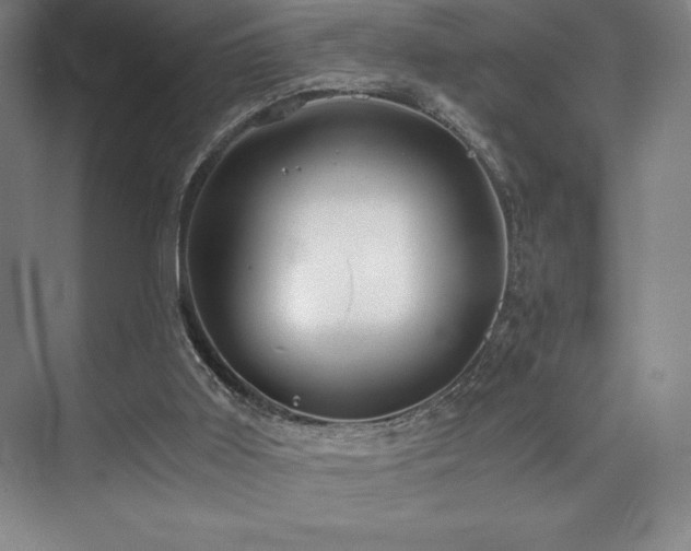 X0000073840011200608101241