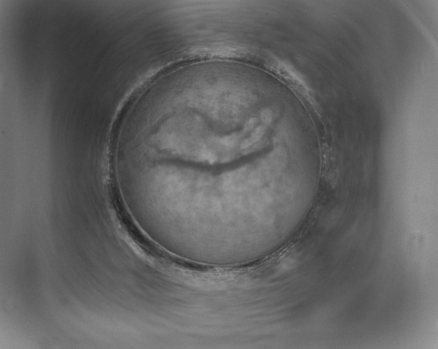 X0000073840012200608101241