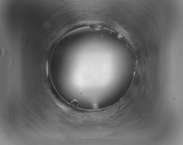 X0000073840013200608101241