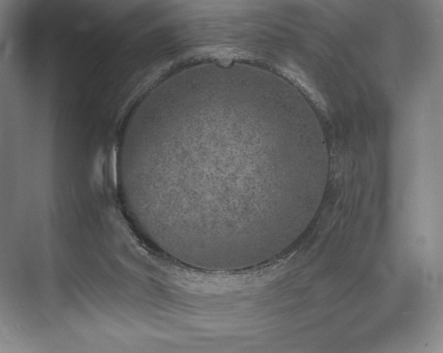 X0000073840014200608101241