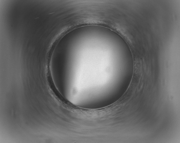 X0000073840015200608101241