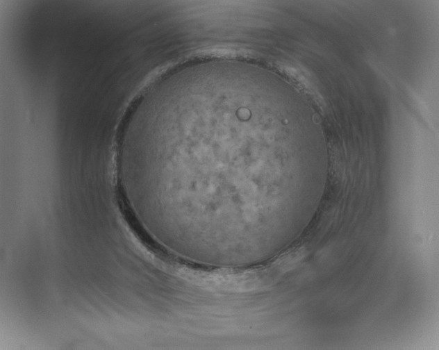 X0000073840016200608101241