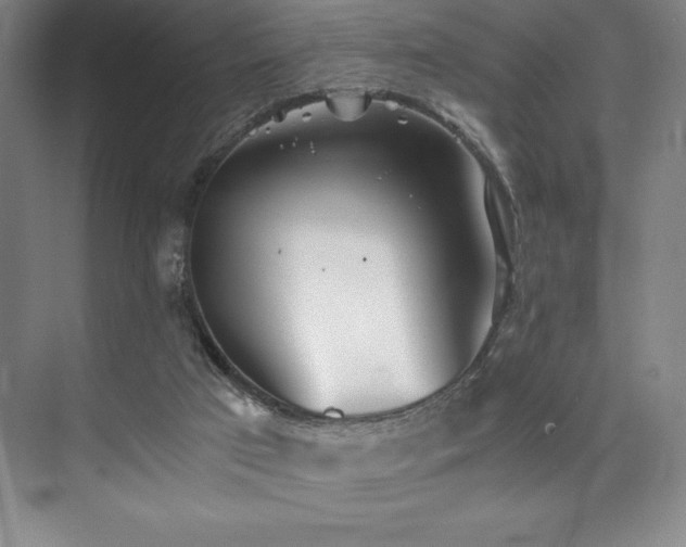 X0000073840017200608101241