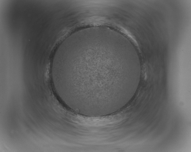 X0000073840018200608101241