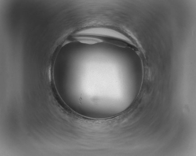 X0000073840019200608101241