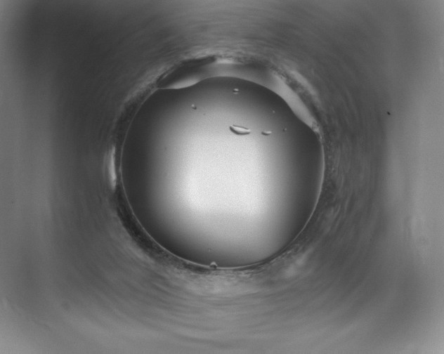 X0000073840020200608101241