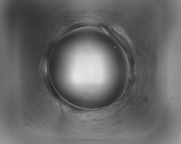 X0000073840021200608101241