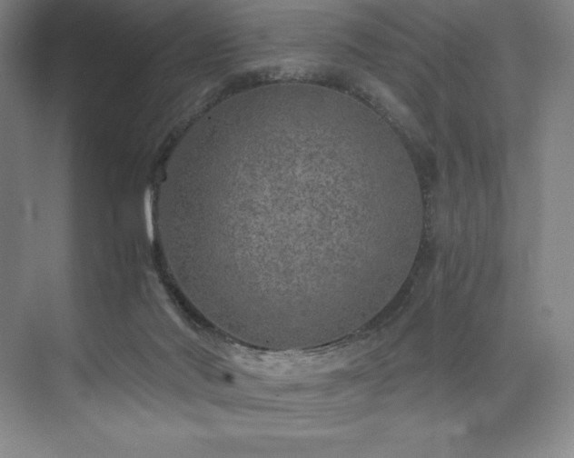 X0000073840022200608101241