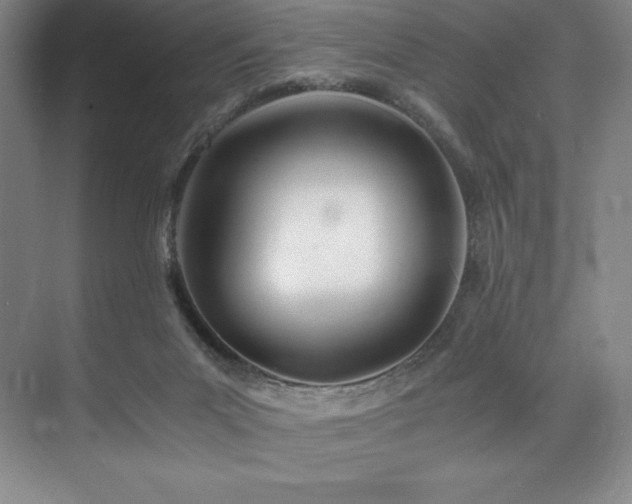 X0000073840023200608101241