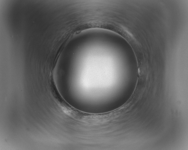 X0000073840025200608101241