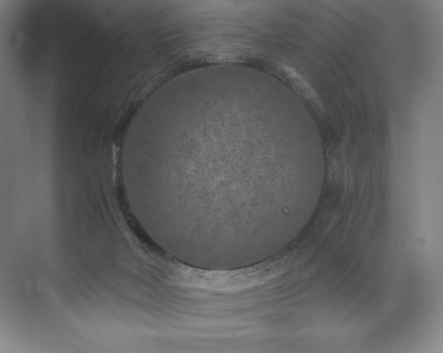 X0000073840026200608101241