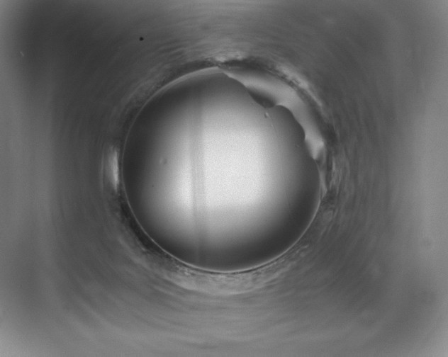 X0000073840027200608101241