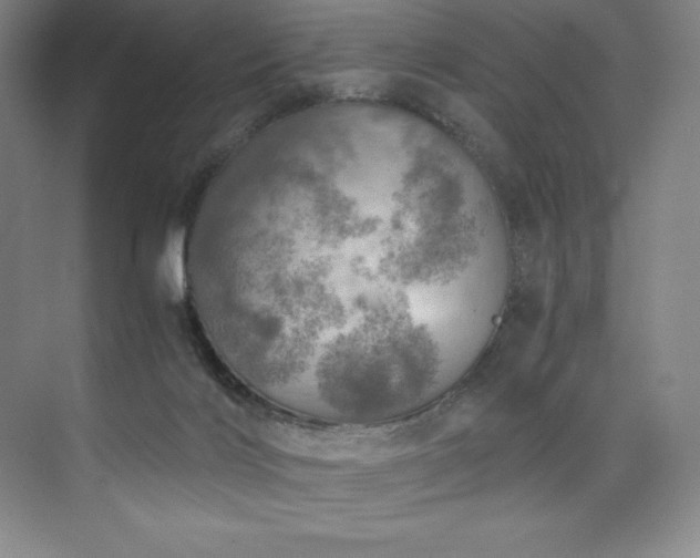 X0000073840028200608101241