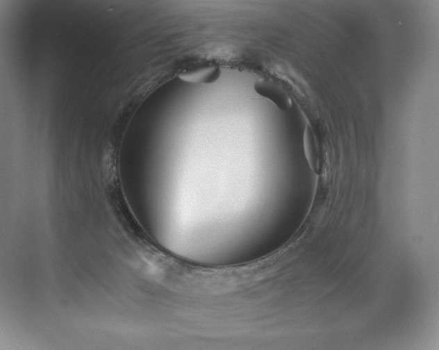 X0000073840029200608101241