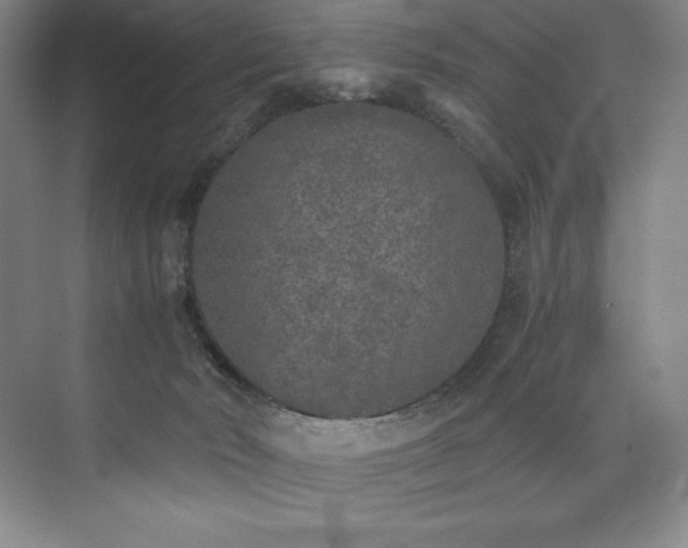 X0000073840030200608101241