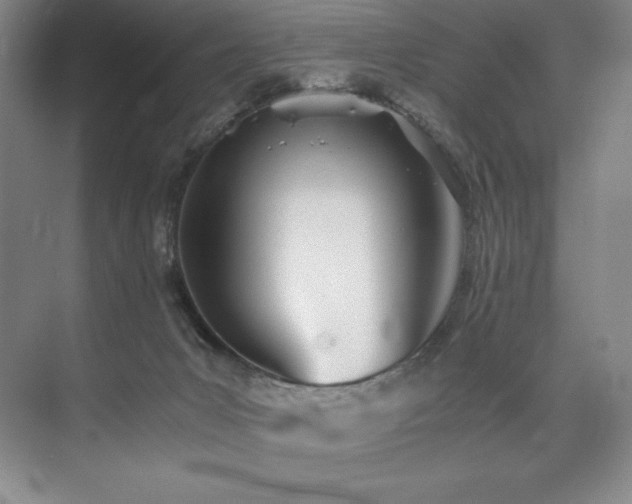 X0000073840031200608101241