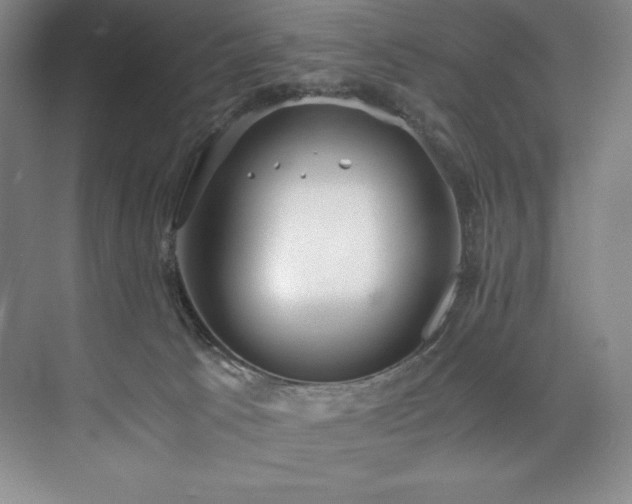 X0000073840033200608101241