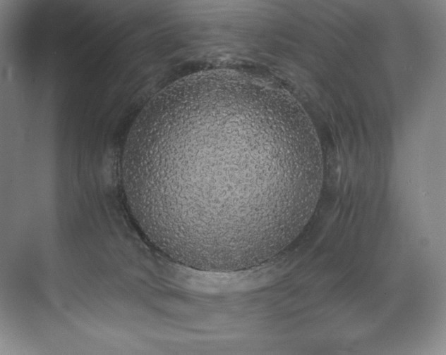 X0000073840034200608101241