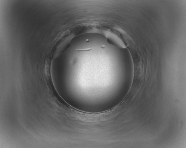 X0000073840035200608101241