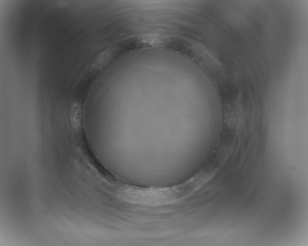 X0000073840036200608101241