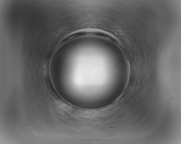 X0000073840037200608101241