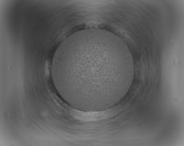 X0000073840038200608101241