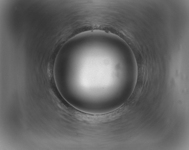 X0000073840039200608101241