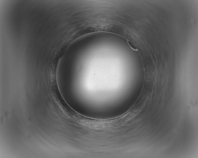 X0000073840040200608101241