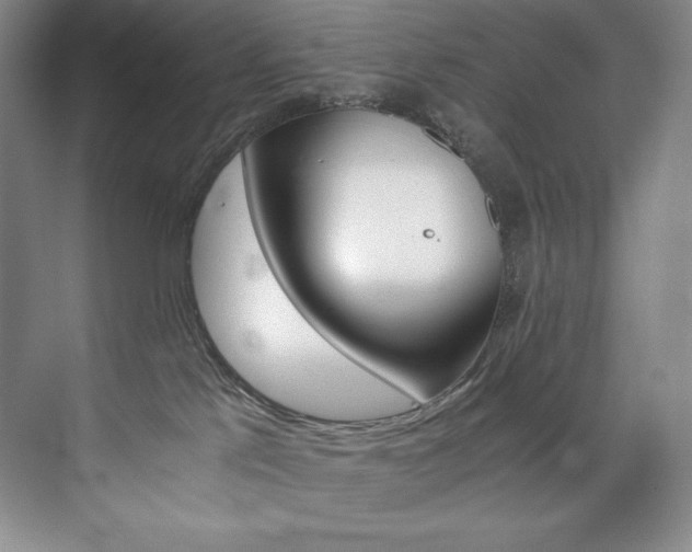 X0000073840041200608101241