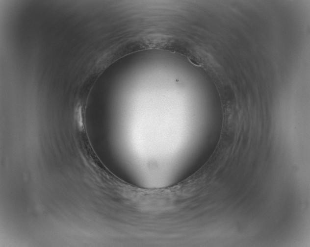 X0000073840042200608101241