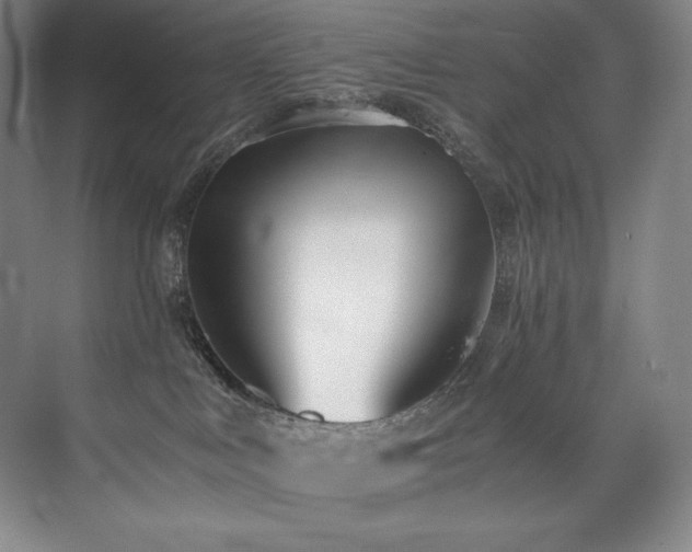 X0000073840043200608101241